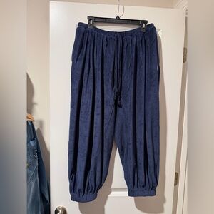 FP Movement by Free People Momentum Velour pants 🔥 size M